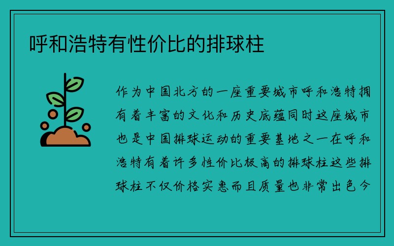 呼和浩特有性价比的排球柱