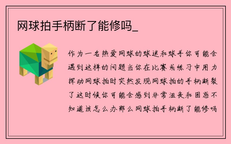 网球拍手柄断了能修吗_