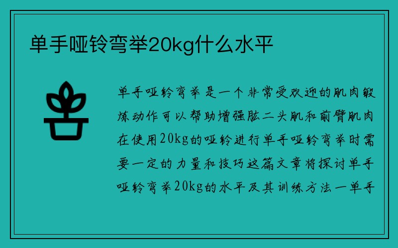 单手哑铃弯举20kg什么水平